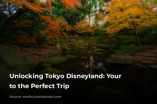 Unlocking Tokyo Disneyland: Your Guide to the Perfect Trip