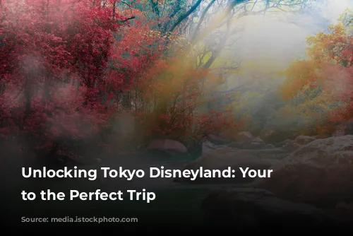 Unlocking Tokyo Disneyland: Your Guide to the Perfect Trip