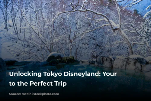 Unlocking Tokyo Disneyland: Your Guide to the Perfect Trip