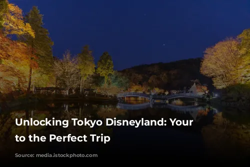 Unlocking Tokyo Disneyland: Your Guide to the Perfect Trip