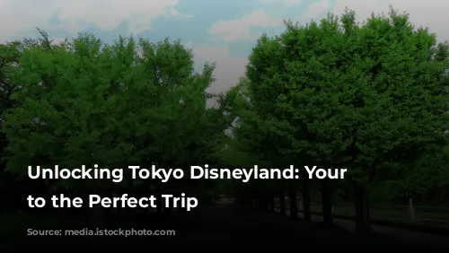 Unlocking Tokyo Disneyland: Your Guide to the Perfect Trip