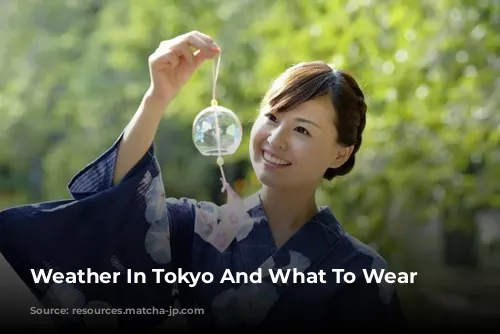 Weather In Tokyo And What To Wear