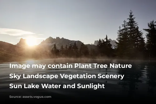 Image may contain Plant Tree Nature Outdoors Sky Landscape Vegetation Scenery Fir Sun Lake Water and Sunlight