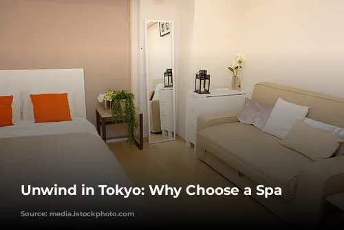 Unwind in Tokyo: Why Choose a Spa Hotel?