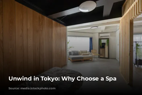 Unwind in Tokyo: Why Choose a Spa Hotel?