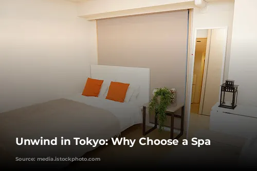 Unwind in Tokyo: Why Choose a Spa Hotel?