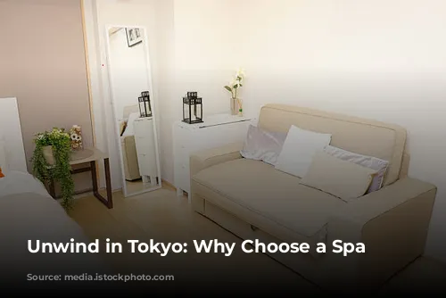 Unwind in Tokyo: Why Choose a Spa Hotel?