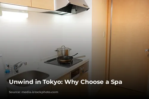 Unwind in Tokyo: Why Choose a Spa Hotel?