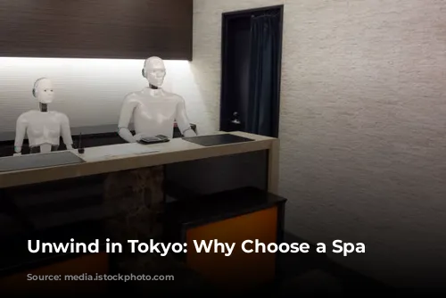 Unwind in Tokyo: Why Choose a Spa Hotel?