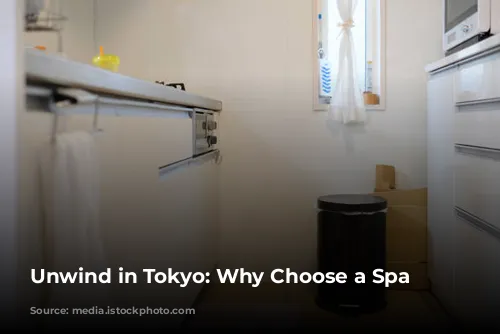 Unwind in Tokyo: Why Choose a Spa Hotel?