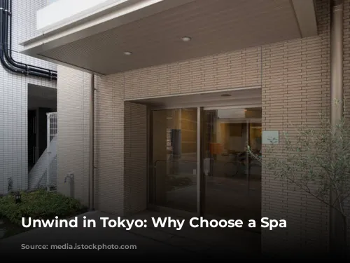 Unwind in Tokyo: Why Choose a Spa Hotel?