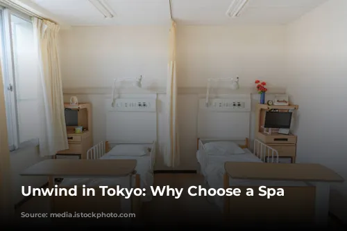 Unwind in Tokyo: Why Choose a Spa Hotel?