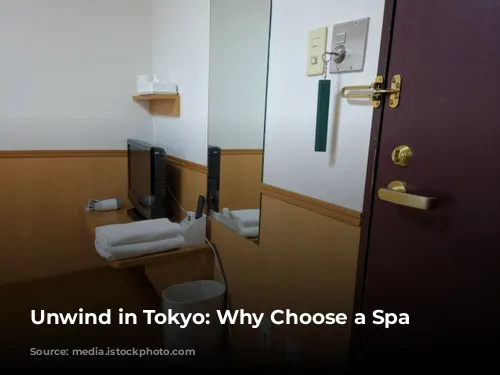 Unwind in Tokyo: Why Choose a Spa Hotel?