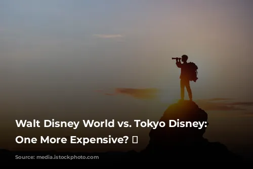 Walt Disney World vs. Tokyo Disney: Is One More Expensive? 🤔