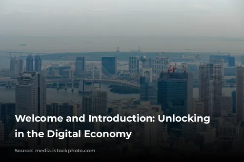 Welcome and Introduction: Unlocking Growth in the Digital Economy