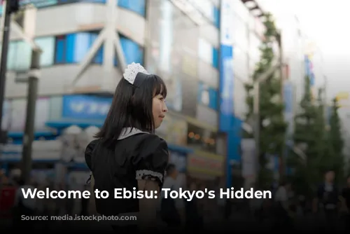 Welcome to Ebisu: Tokyo's Hidden Gem