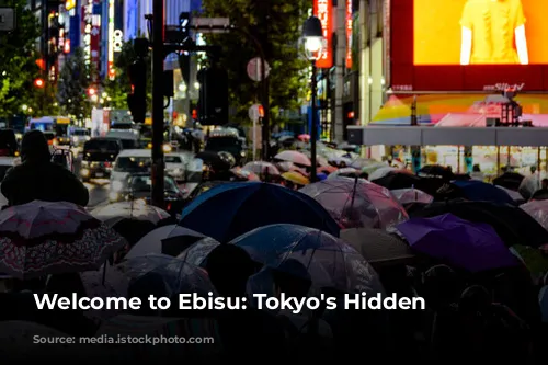 Welcome to Ebisu: Tokyo's Hidden Gem