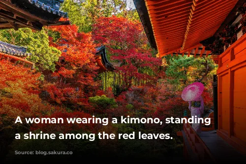 A woman wearing a kimono, standing in a shrine among the red leaves.