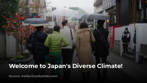 Welcome to Japan's Diverse Climate!