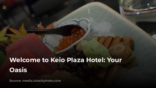 Welcome to Keio Plaza Hotel: Your Tokyo Oasis