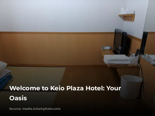 Welcome to Keio Plaza Hotel: Your Tokyo Oasis