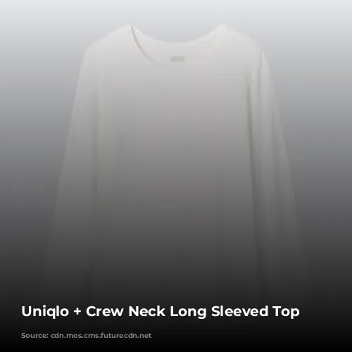 Uniqlo + Crew Neck Long Sleeved Top