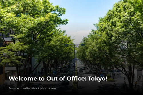 Welcome to Out of Office: Tokyo!