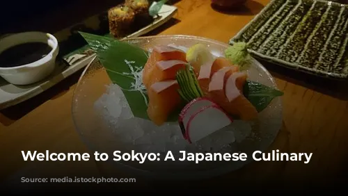 Welcome to Sokyo: A Japanese Culinary Journey