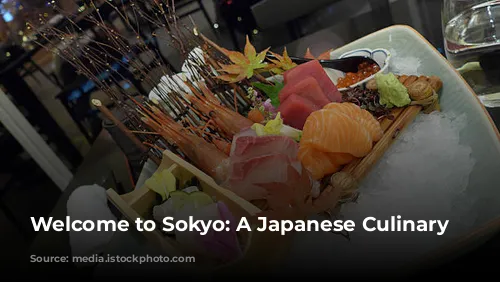 Welcome to Sokyo: A Japanese Culinary Journey