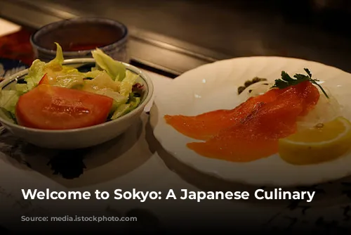 Welcome to Sokyo: A Japanese Culinary Journey