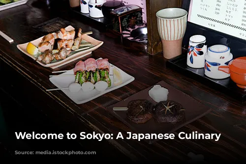 Welcome to Sokyo: A Japanese Culinary Journey