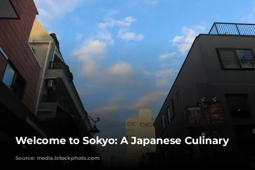 Welcome to Sokyo: A Japanese Culinary Journey