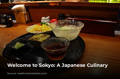 Welcome to Sokyo: A Japanese Culinary Journey