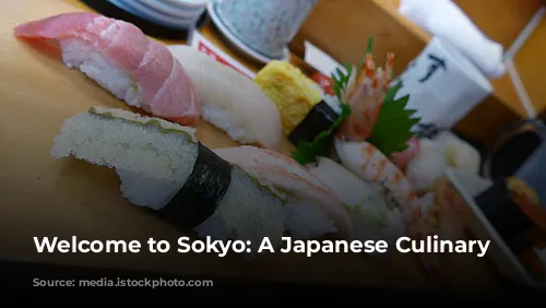 Welcome to Sokyo: A Japanese Culinary Journey