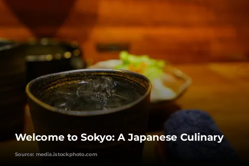 Welcome to Sokyo: A Japanese Culinary Journey