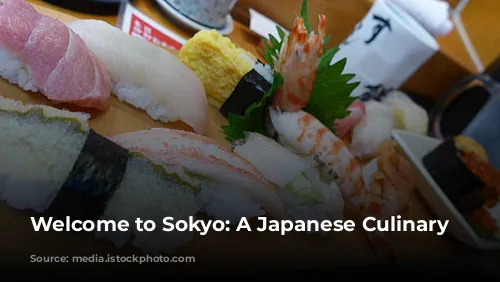 Welcome to Sokyo: A Japanese Culinary Journey