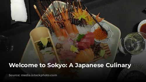 Welcome to Sokyo: A Japanese Culinary Journey