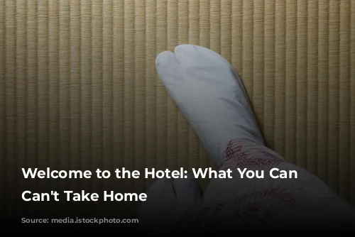 Welcome to the Hotel: What You Can and Can't Take Home