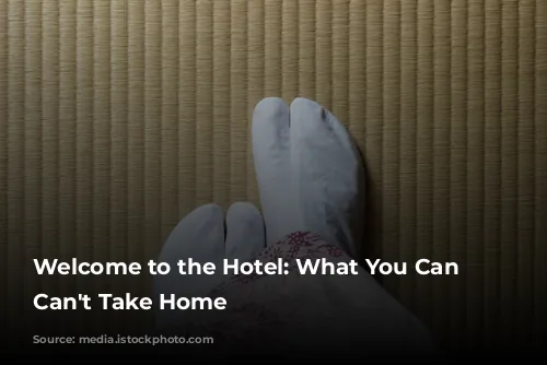 Welcome to the Hotel: What You Can and Can't Take Home