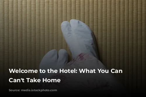 Welcome to the Hotel: What You Can and Can't Take Home