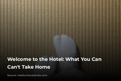 Welcome to the Hotel: What You Can and Can't Take Home