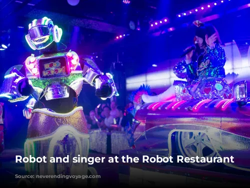 Robot and singer at the Robot Restaurant Japan