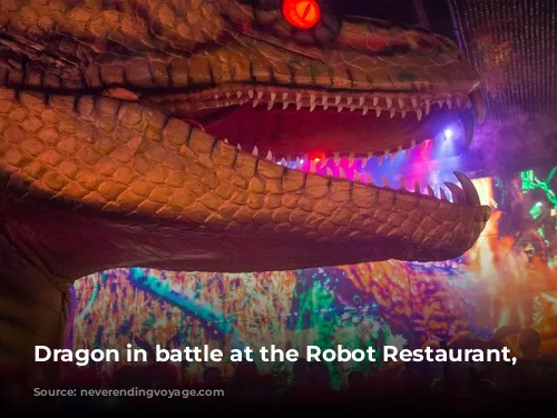 Dragon in battle at the Robot Restaurant, Tokyo