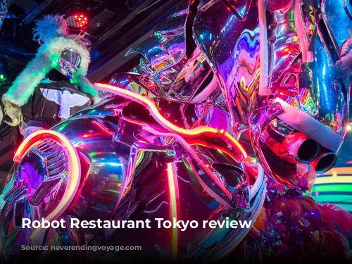 Robot Restaurant Tokyo review