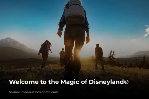 Welcome to the Magic of Disneyland® Paris!