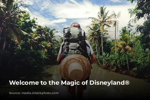 Welcome to the Magic of Disneyland® Paris!