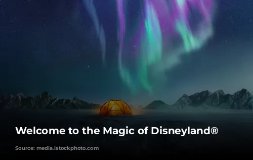 Welcome to the Magic of Disneyland® Paris!