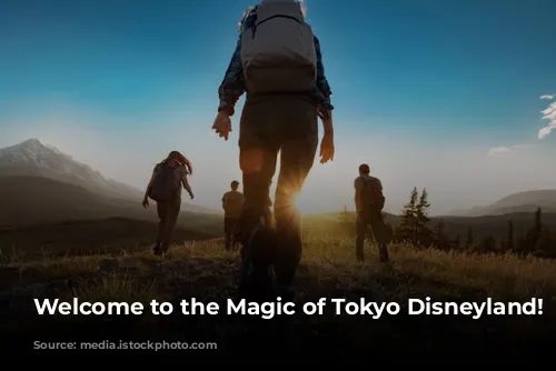 Welcome to the Magic of Tokyo Disneyland! ✨