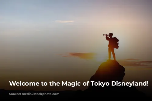 Welcome to the Magic of Tokyo Disneyland! ✨