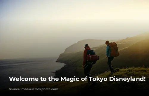 Welcome to the Magic of Tokyo Disneyland! ✨